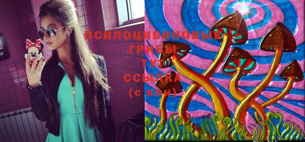 марки lsd Белокуриха