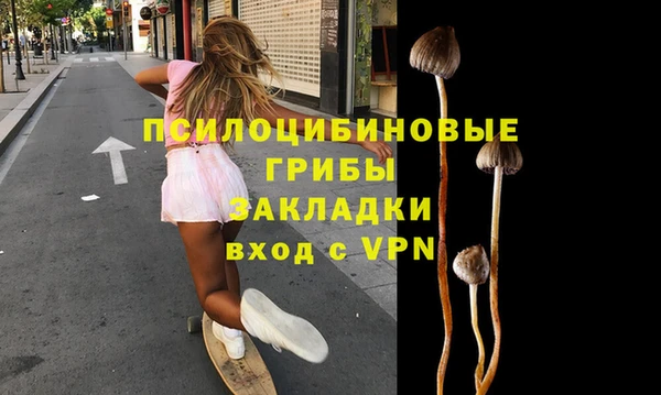 a pvp Беломорск