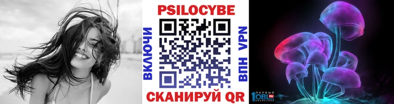 наркота Кимры MEGA как войти Псилоцибиновые грибы прущие грибы
